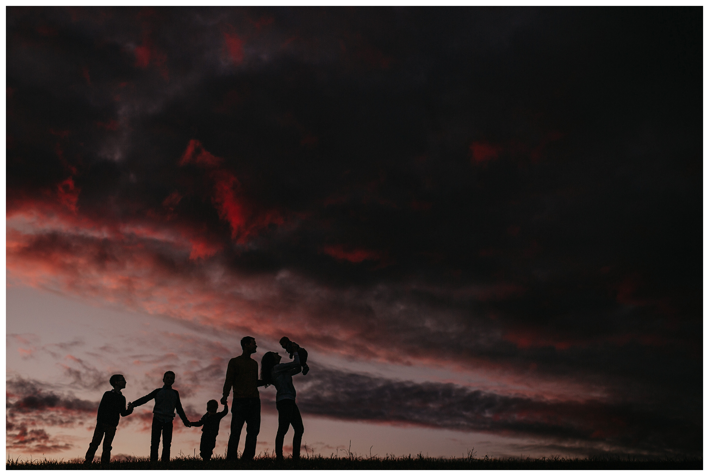 Christmas Tree Farm Family Session