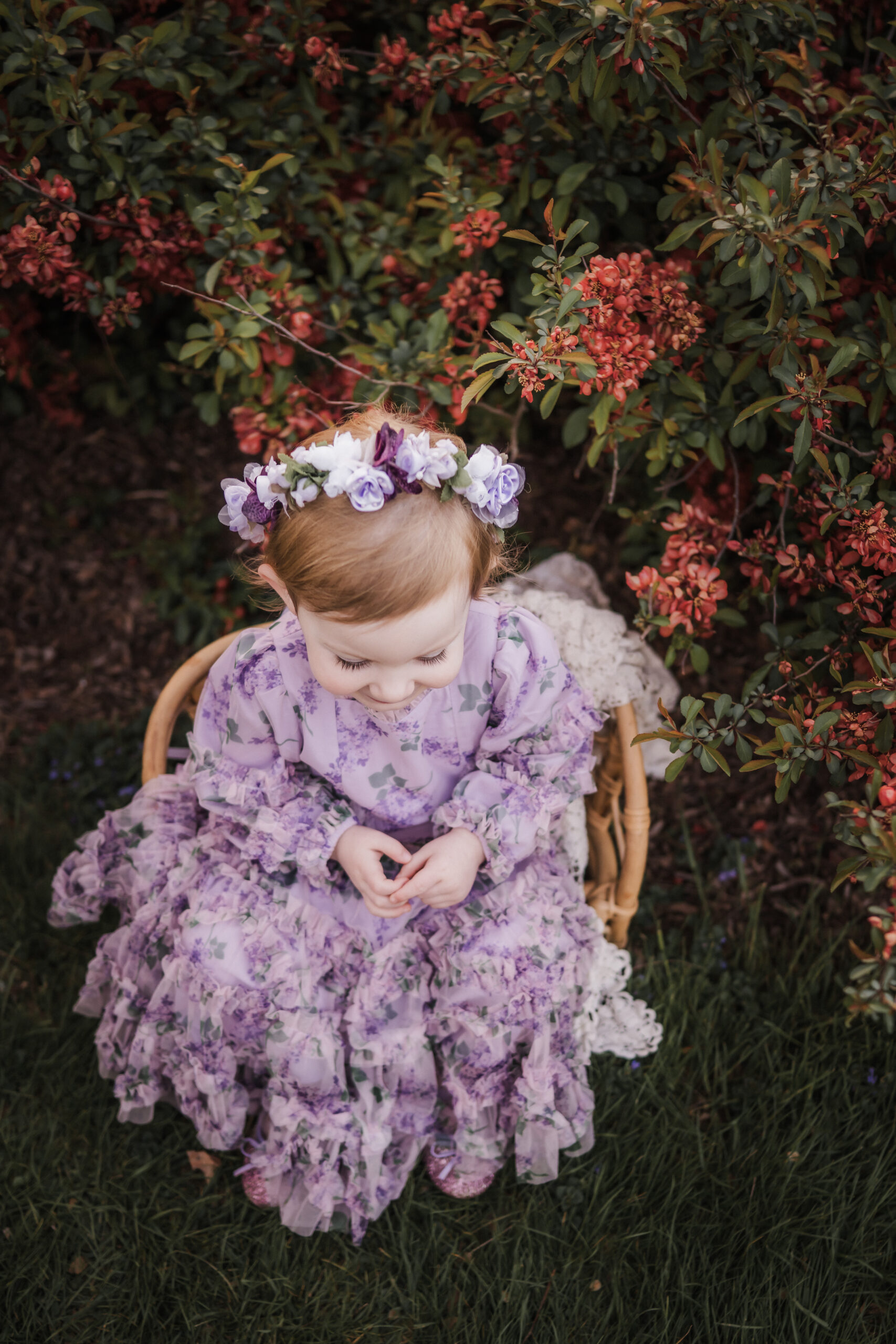 madison wi mini sessions