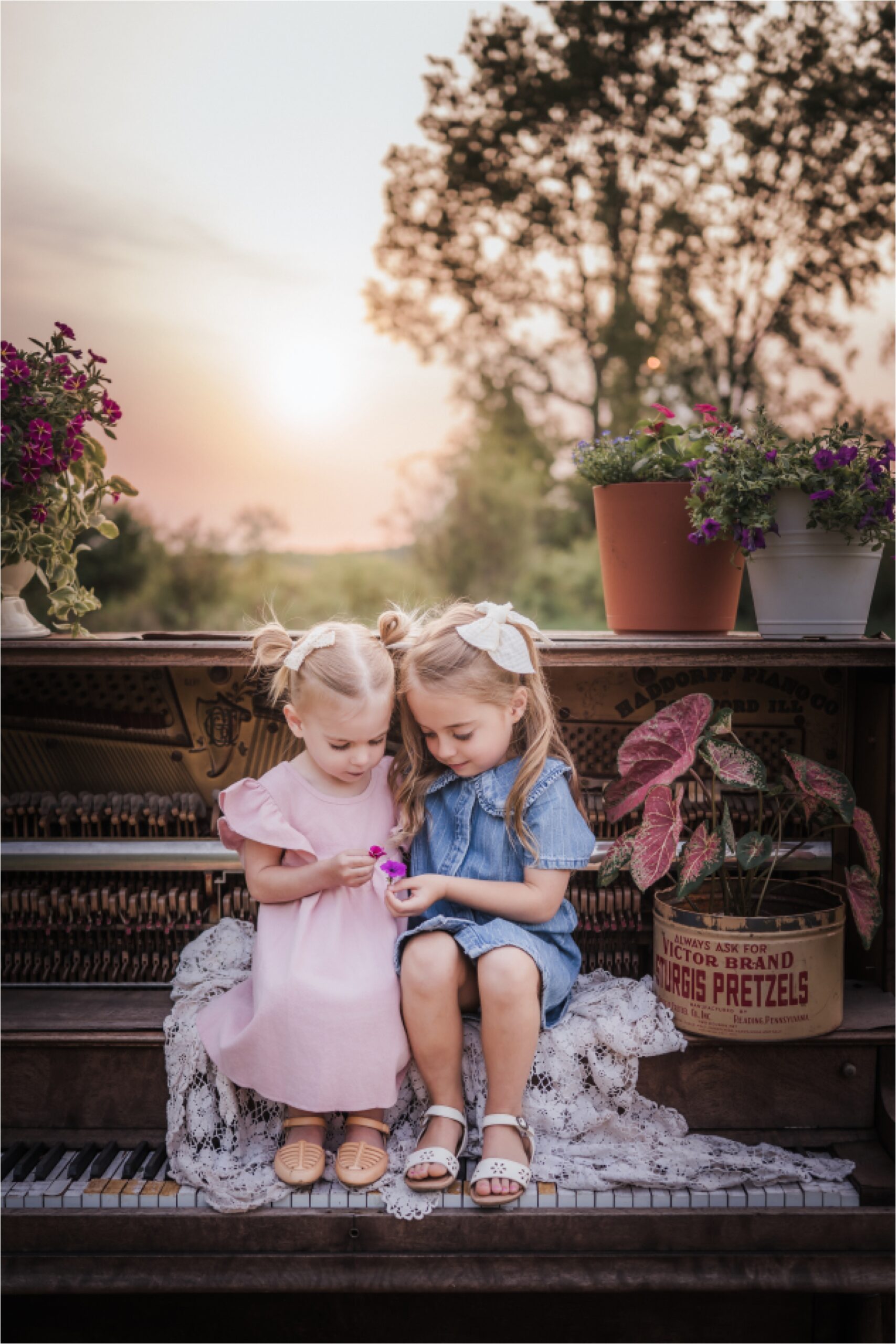 madison wi family photographer