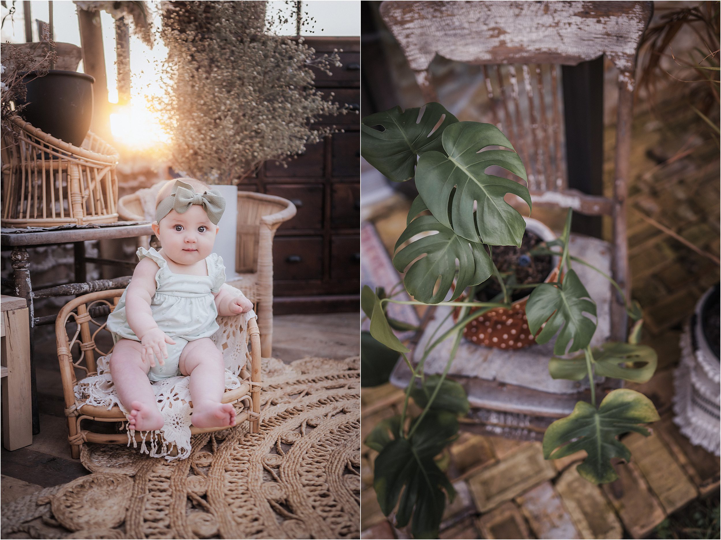 bobbi petersen photography greenhouse session