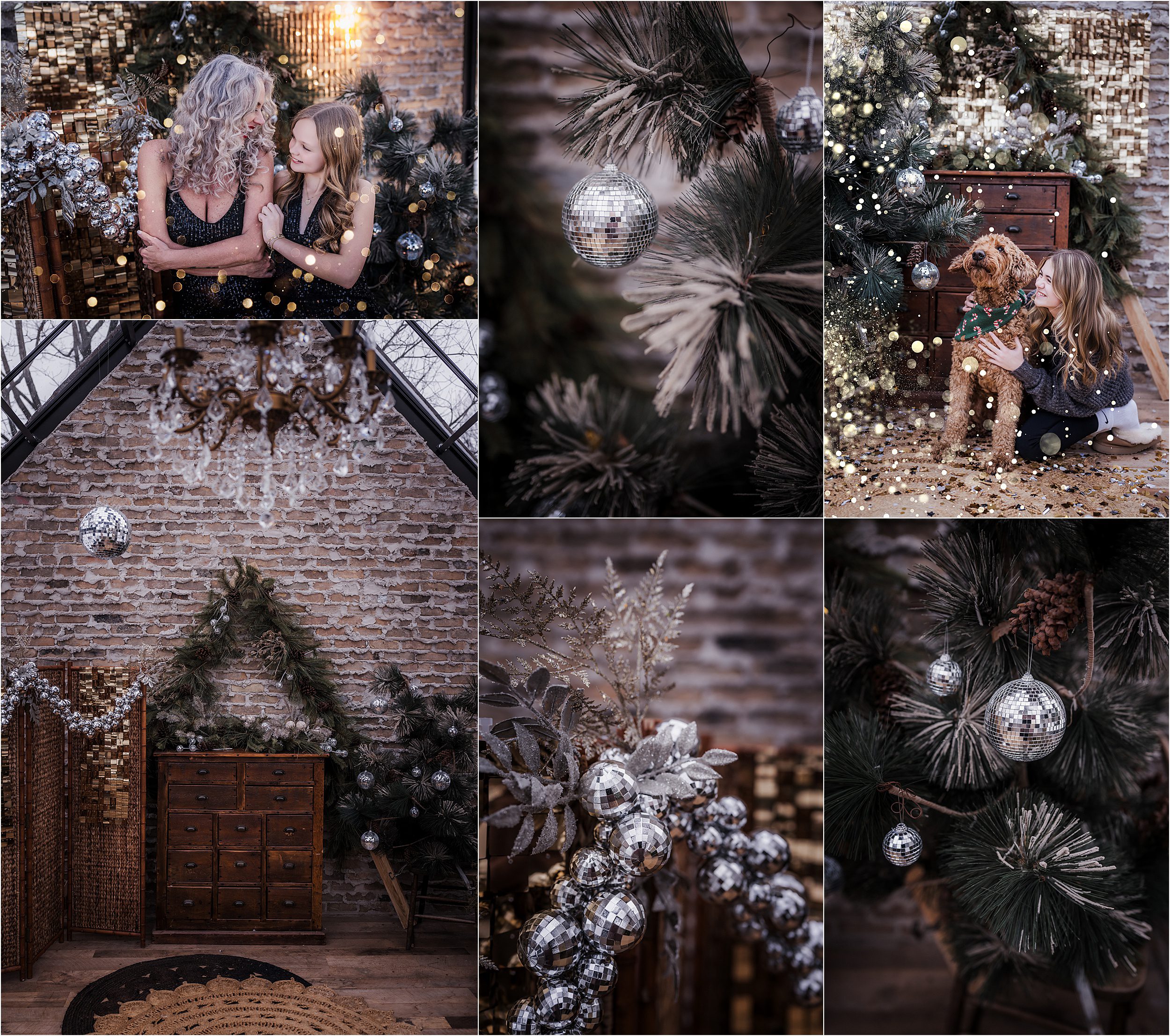 greenhouse family photo sessions in madison wi