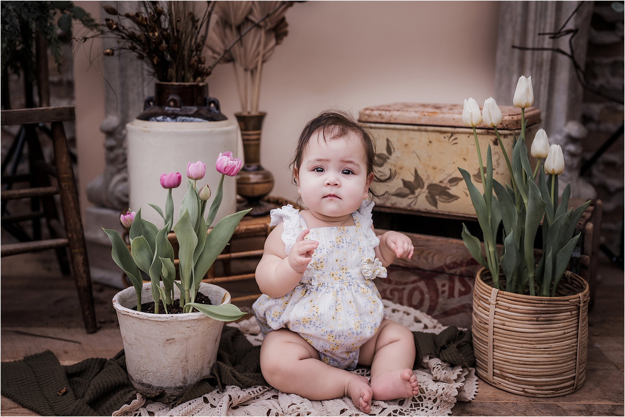 madison wi family photographer