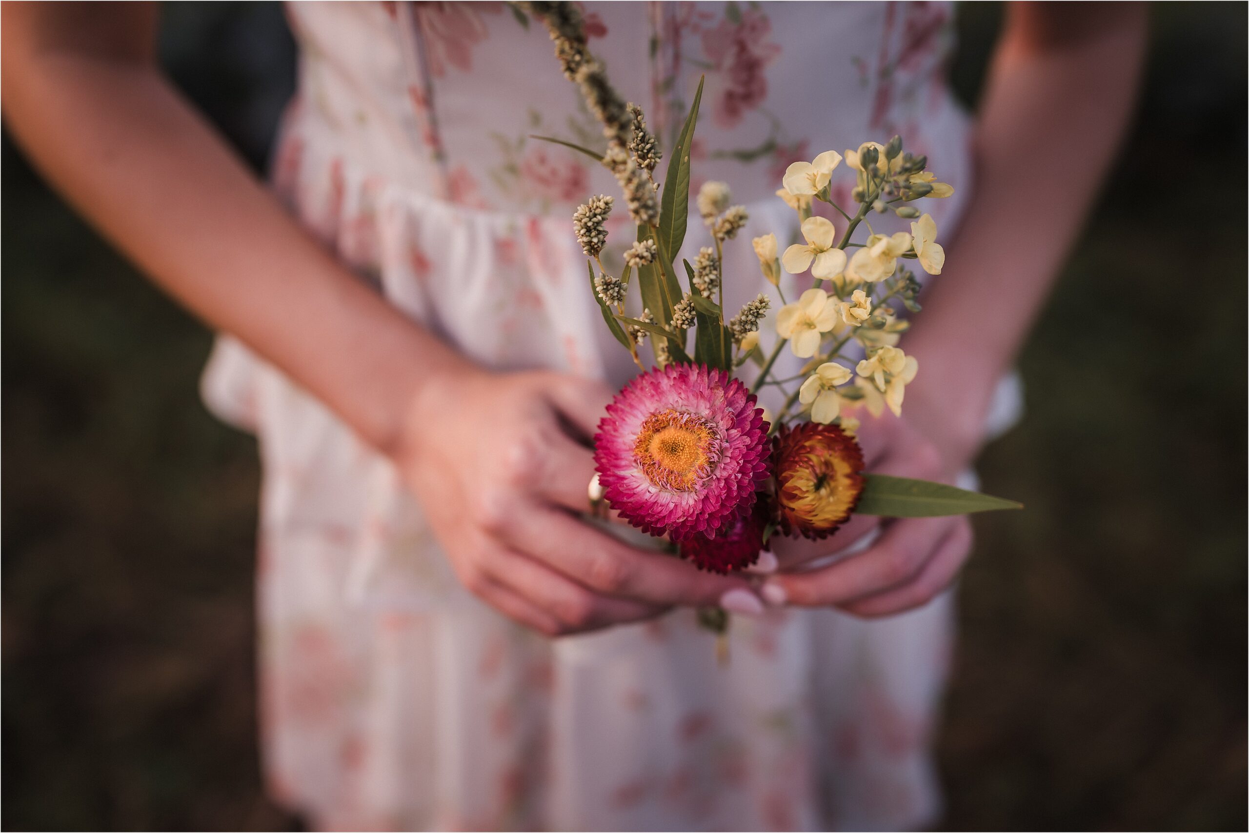 family flower field mini sessions in madison wi