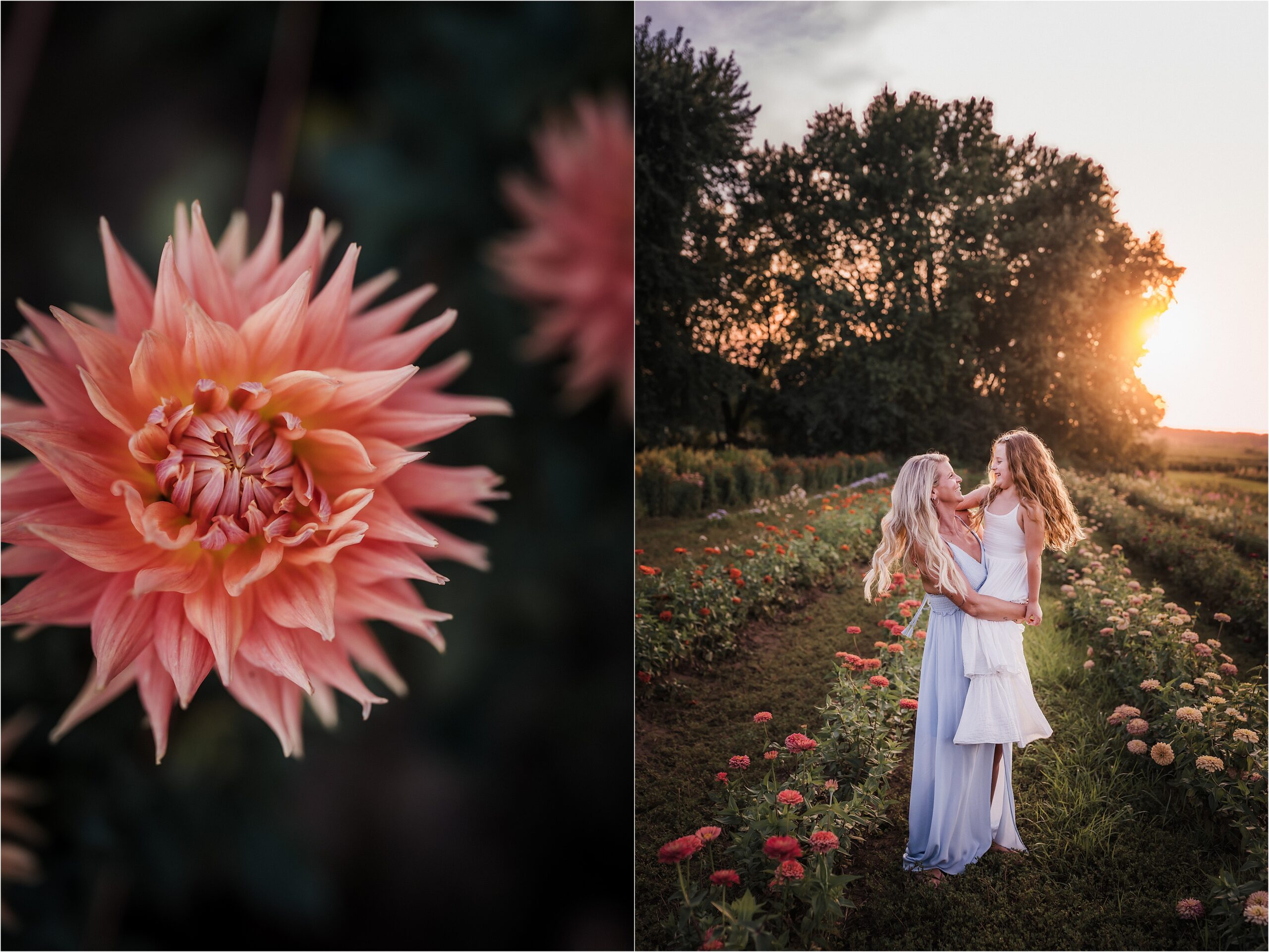 Family posing in a flower field during a Madison WI mini photography session